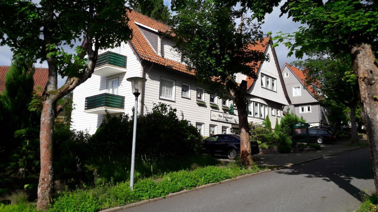 Hotel Garni Am Hochwald Braunlage Esterno foto