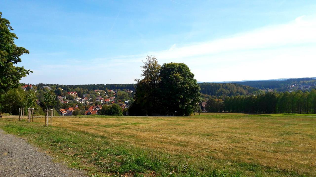 Hotel Garni Am Hochwald Braunlage Esterno foto